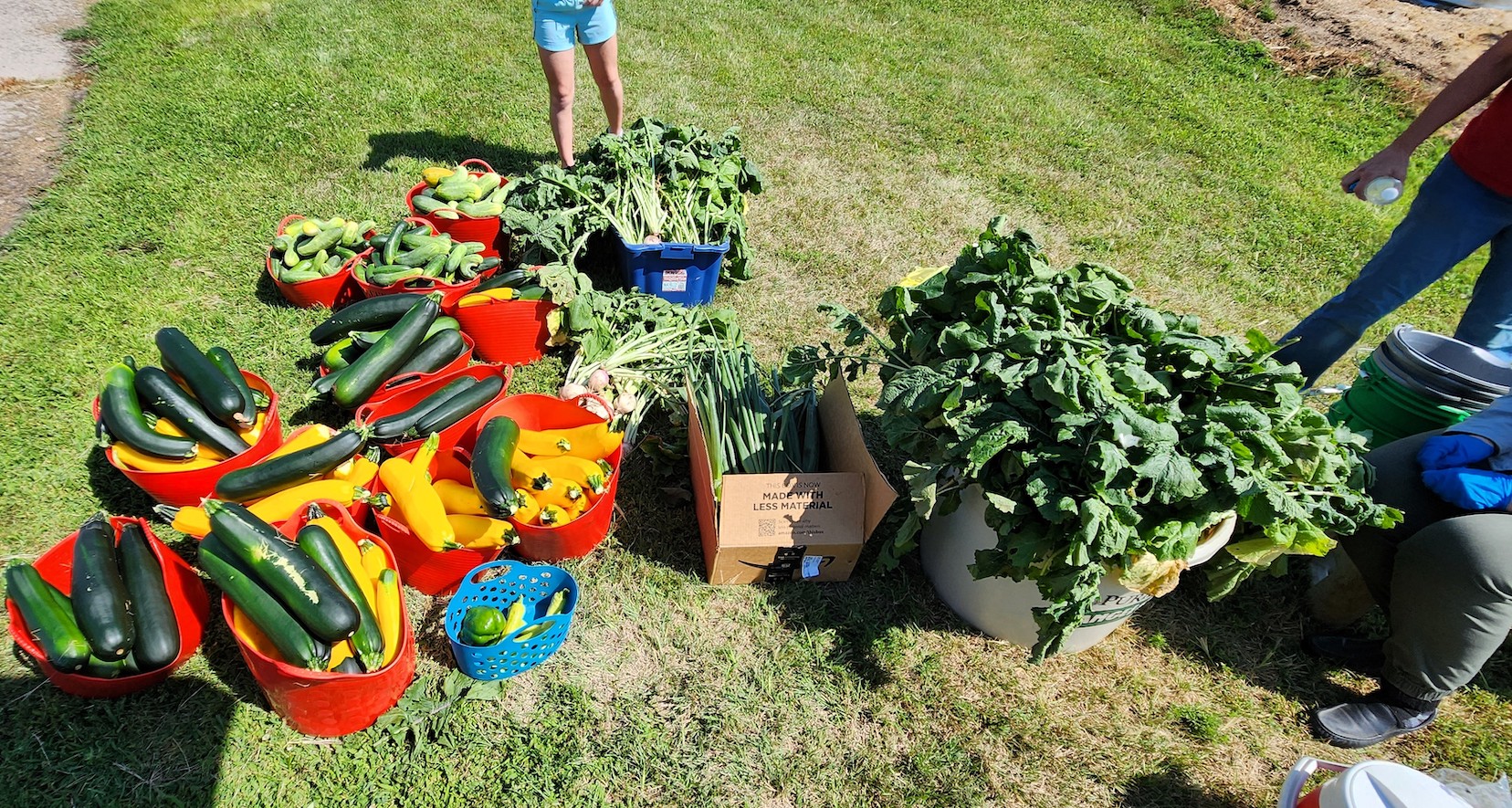 Growing Together Nebraska: from garden to table, nourishing Nebraska communities